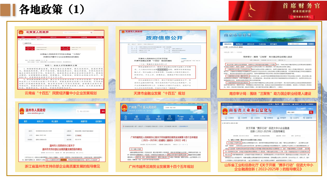 首席财务官职业资质评价+财务职业经理人（高级）