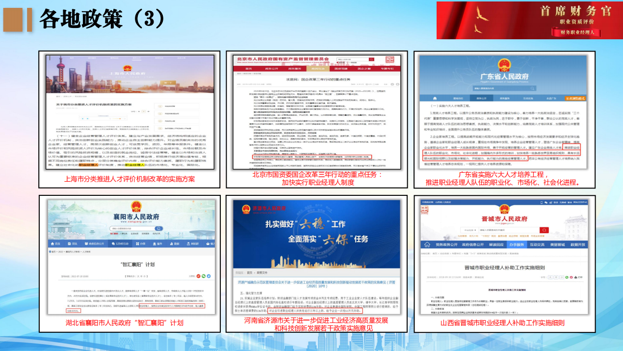 首席财务官职业资质评价+财务职业经理人（高级）