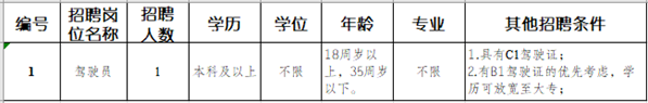 永善金沙矿业有限责任公司2025年度招聘公告