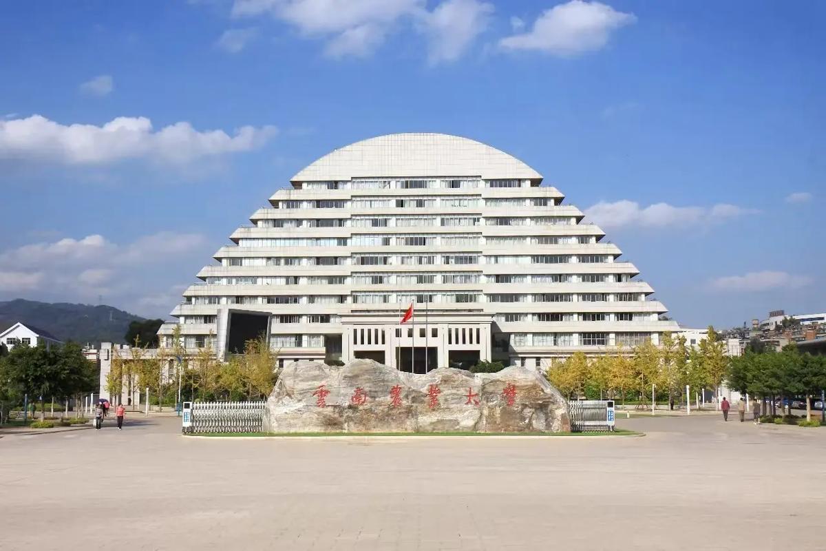 云南农业大学高等学历继续教育2025年招生简章